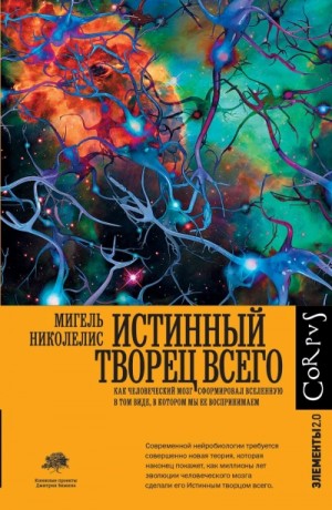 Истинный творец всего. Как человеческий мозг сформировал вселенную в том виде, в котором мы ее воспр – аудиокнига
