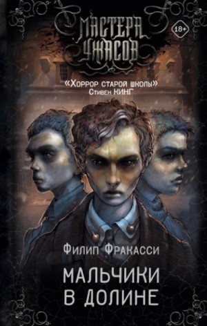 Мальчики в долине – аудиокнига