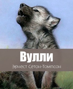 Вулли – аудиокнига