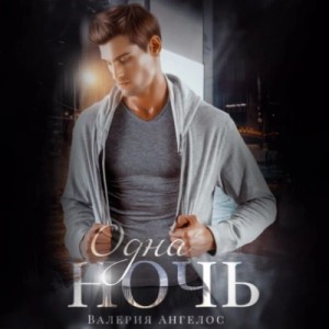 Одна ночь – аудиокнига