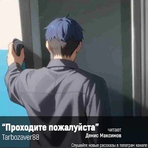 Проходите, пожалуйста – аудиокнига
