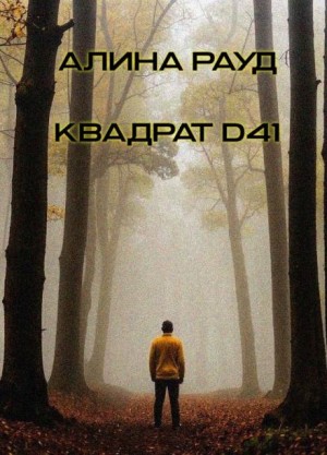 Квадрат D41 – аудиокнига
