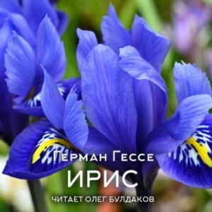 Ирис – аудиокнига