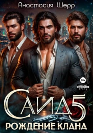 Саид 5. Рождение клана – аудиокнига