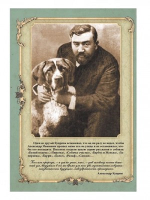 Сапсан. Собачье счастье