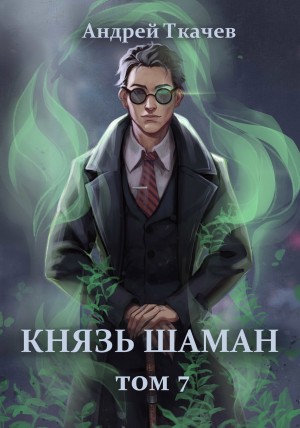 Князь шаман. Книга 7 – аудиокнига