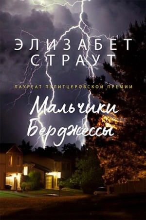 Мальчики Бёрджессы – аудиокнига