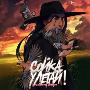 Сойка, улетай! – аудиокнига