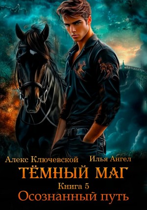 Тёмный маг. Книга 5. Осознанный путь – аудиокнига