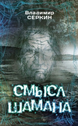 Смысл шамана – аудиокнига