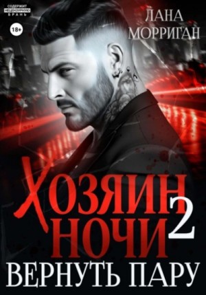 Вернуть пару – аудиокнига