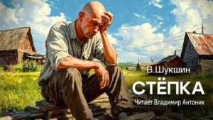 Стёпка – аудиокнига