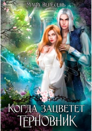 Когда зацветет терновник – аудиокнига