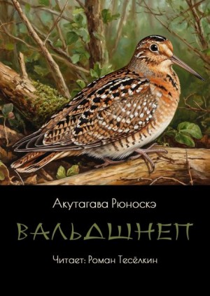 Вальдшнеп – аудиокнига