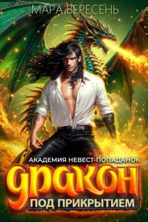 Академия невест-попаданок и дракон под прикрытием – аудиокнига