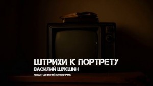 Штрихи к портрету – аудиокнига