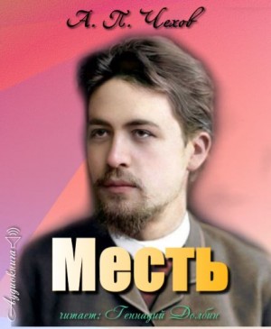 Месть – аудиокнига