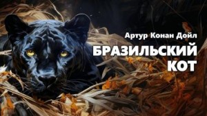 Бразильский кот – аудиокнига