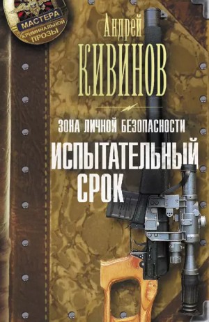 Испытательный срок – аудиокнига