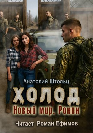 Холод 5. Новый мир. Ронин – аудиокнига