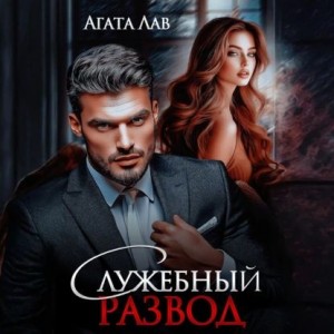 Служебный развод – аудиокнига