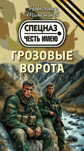 Грозовые ворота – аудиокнига