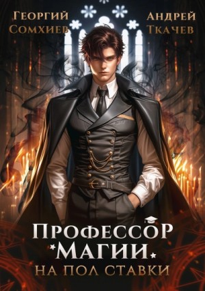 Профессор магии на полставки. Том I – аудиокнига