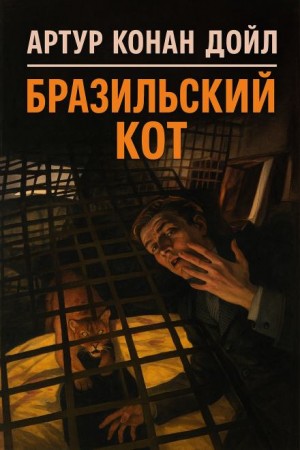 Бразильский кот