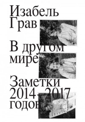 В другом мире: заметки 2014–2017 годов – аудиокнига