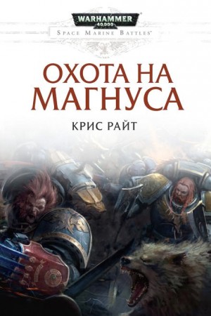 Охота на Магнуса – аудиокнига