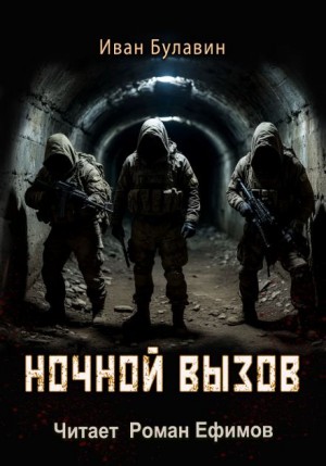 Ночной вызов – аудиокнига
