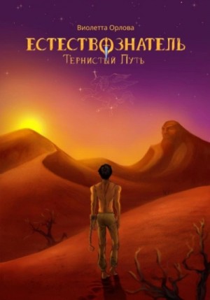 Тернистый путь – аудиокнига