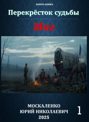 Маг. Книга первая – аудиокнига