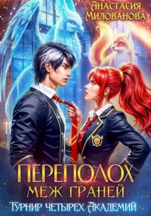 Переполох меж Граней. Турнир четырёх Академий – аудиокнига