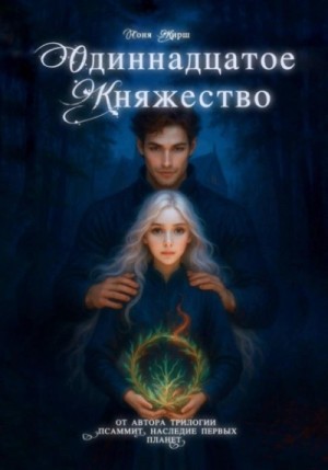 Одиннадцатое княжество – аудиокнига
