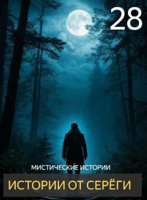 Истории от Серёги №28 – аудиокнига