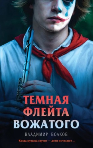 Темная флейта вожатого – аудиокнига