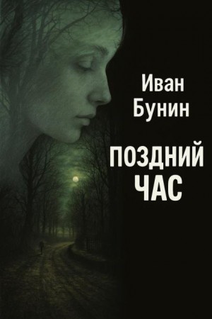 Поздний час – аудиокнига
