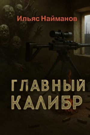 Главный калибр – аудиокнига