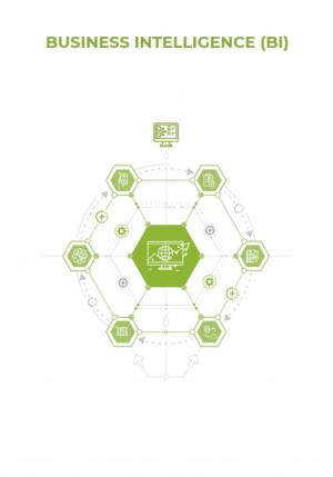 Business Intelligence (BI) – аудиокнига