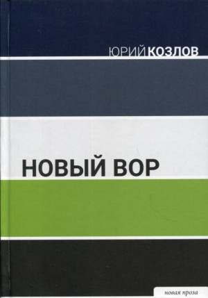 Новый вор – аудиокнига