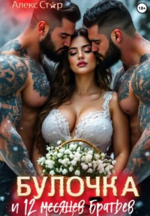 Булочка и 12 (месяцев) братьев – аудиокнига