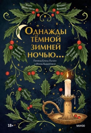 Однажды тёмной зимней ночью… – аудиокнига
