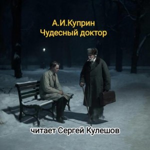 Чудесный доктор – аудиокнига