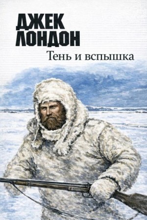 Тень и вспышка – аудиокнига