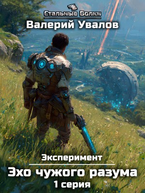 Книга 3.1. Эхо чужого разума