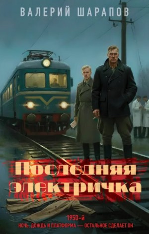 Последняя электричка – аудиокнига