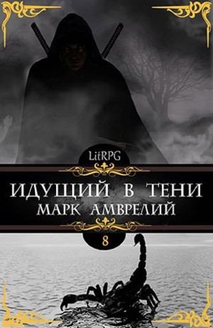 Идущий в тени. Книга 8
