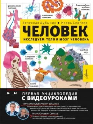 Исследуем тело и мозг человека