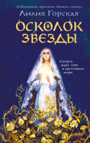Осколок звезды – аудиокнига